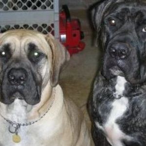 Meet your Posher, Mieko